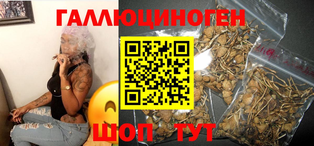 Галлюциногенные грибы MAGIC MUSHROOMS Щёкино